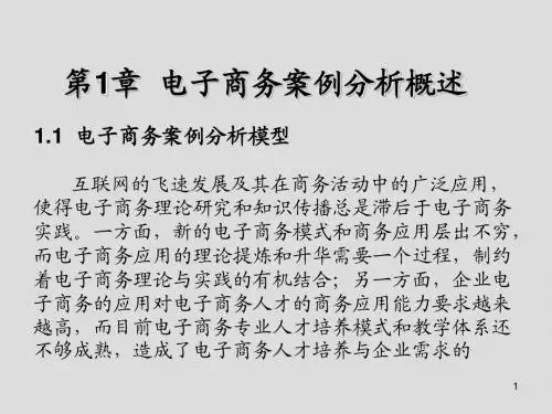电子商务案例分析第1章  电子商务案例分析概述