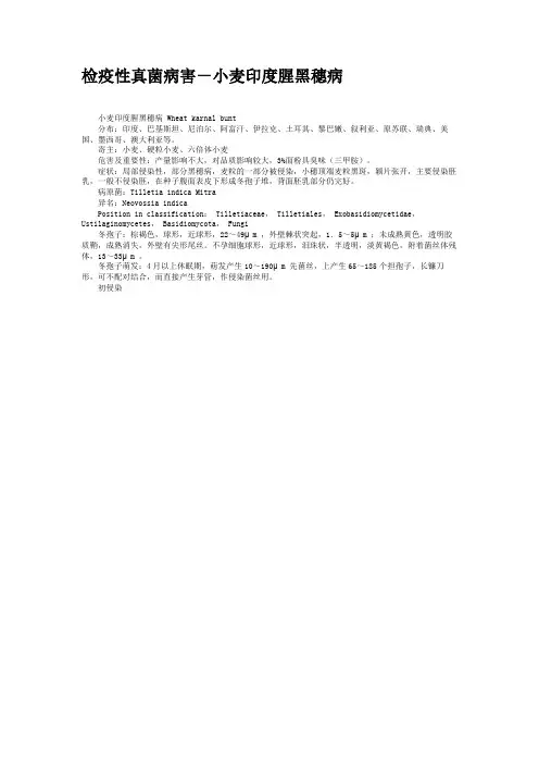 检疫性真菌病害-小麦印度腥黑穗病.