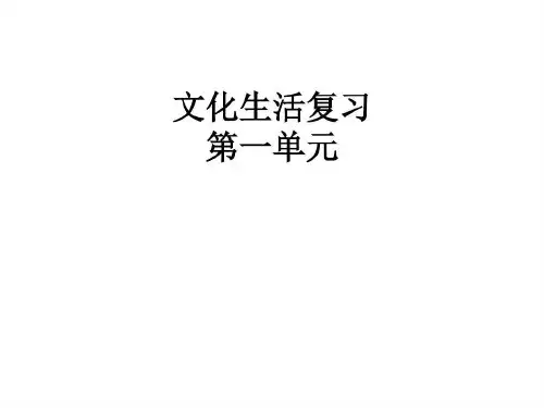 高中政治文化生活知识点总结48页PPT
