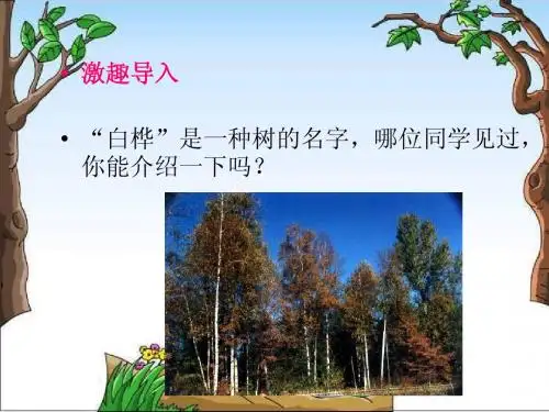 白桦林的低语_课件