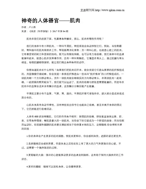 神奇的人体器官——肌肉