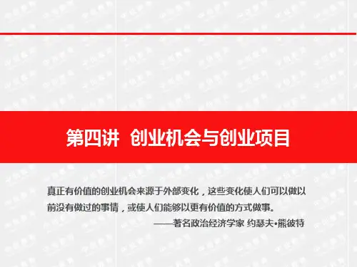 创业机会与创业项目(ppt文档)