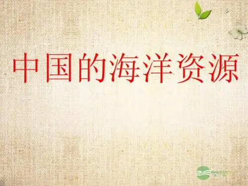 《3.4中国的海洋资源》课件 湘教版