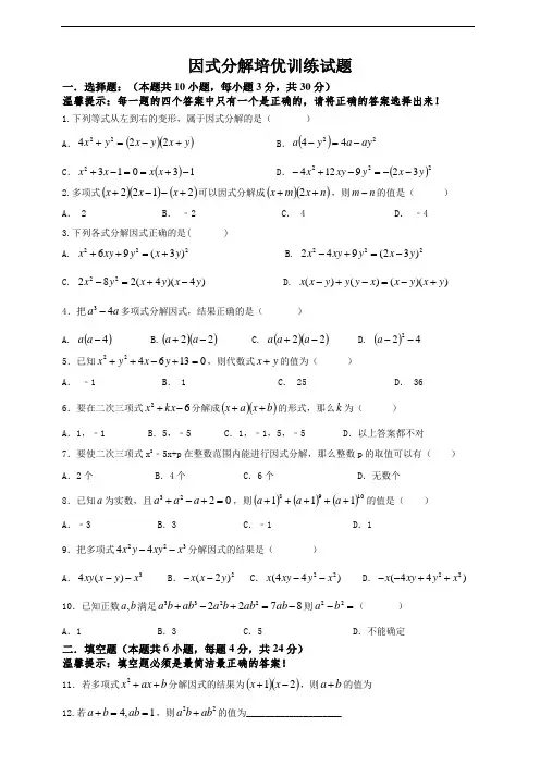 因式分解培优训练试题