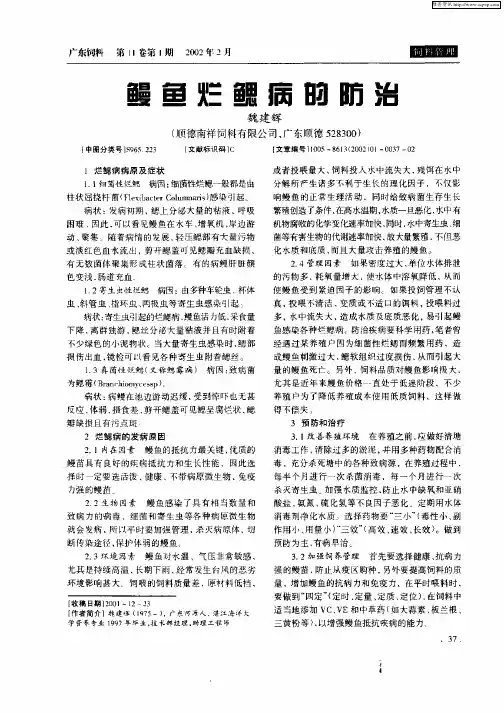 鳗鱼烂鳃病的防治