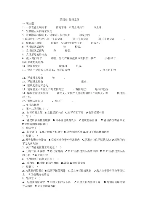 第四章泌尿生殖系统