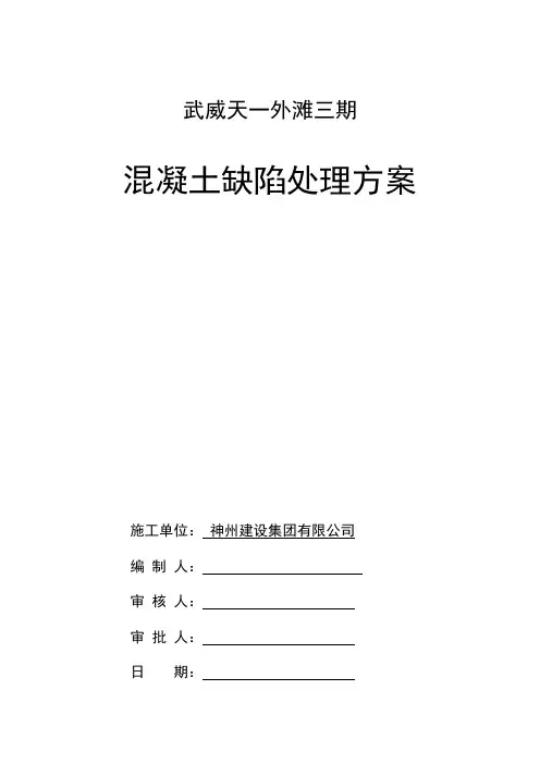 混凝土缺陷处理方案