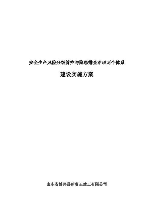 双体系建设实施方案