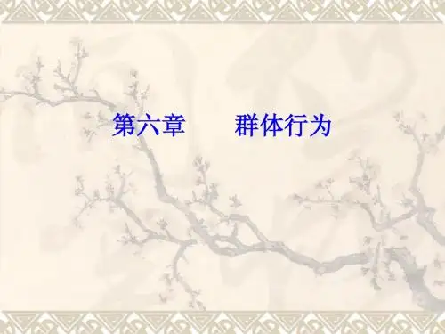 团队和冲突