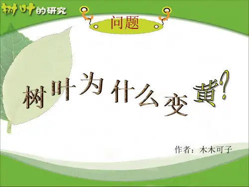 “树叶为什么变黄?”研究性学习报告