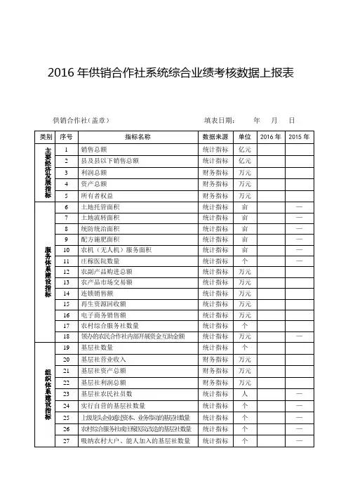 2016年供销合作社系统综合业绩考核数据上报表