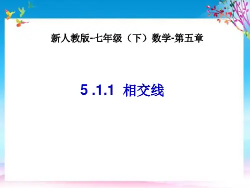 山东省诸城市桃林镇七年级数学下册第5章相交线与平行线5.1相交线5.1.1相交线课件新版新人教版