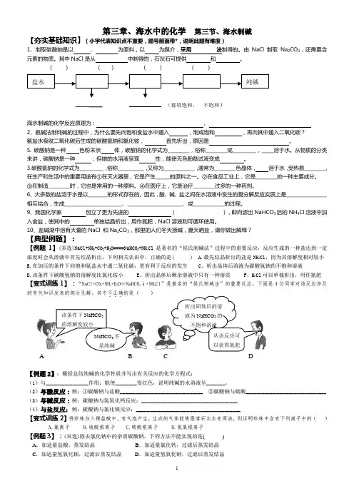 鲁教版九年级《海水制碱》单元跟踪练习题