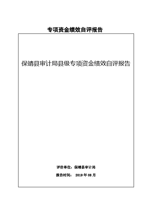专项资金绩效自评报告