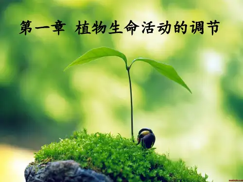 植物生命活动的调节(浙科版)