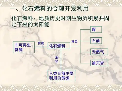 非可再生资源合理开发利用对策