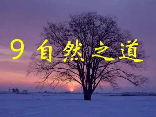 四年级语文自然界之道3(2019年9月)