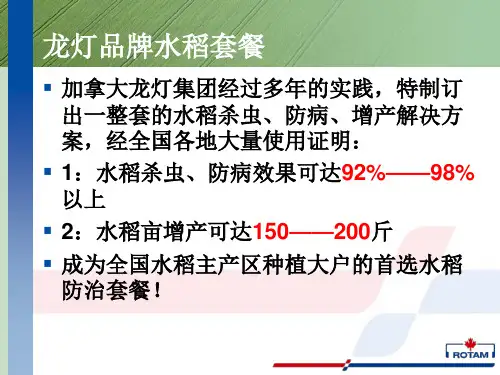 龙灯水稻套餐