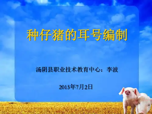 种仔猪的耳号编制