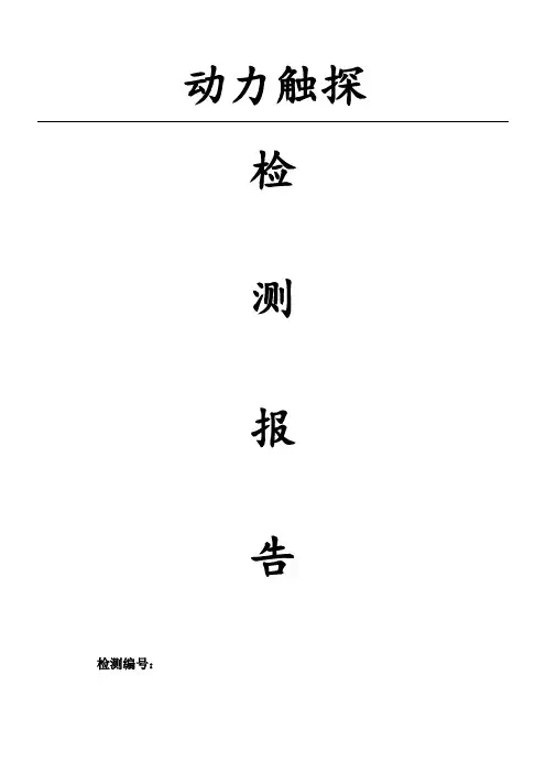 轻型重型圆锥动力触探检测报告