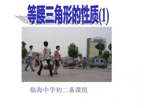 等腰三角形的性质5