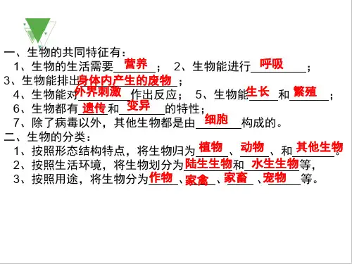早早读