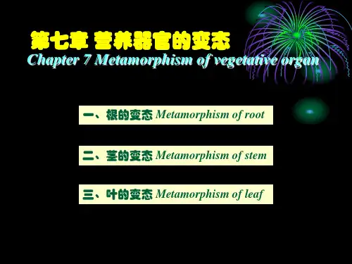 植物学第七章营养器官的变态