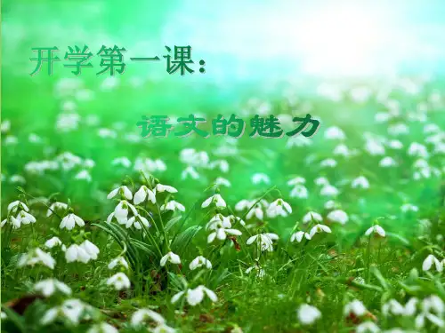 语文的魅力