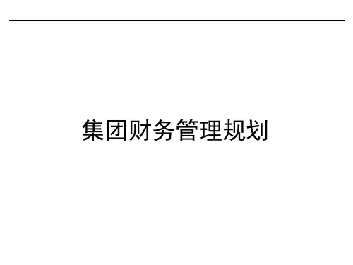 集团财务管理规划.ppt