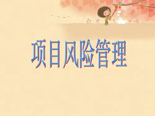 项目风险管理案例