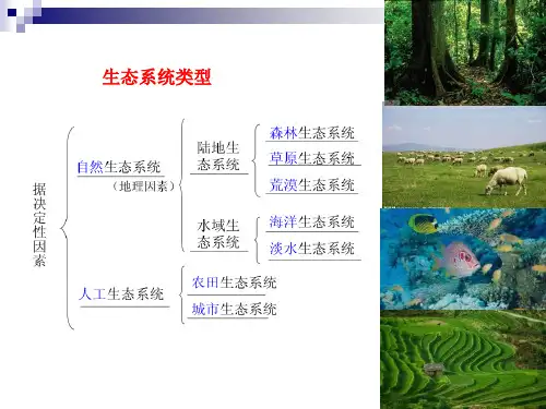 水体常规理化性质测定DO