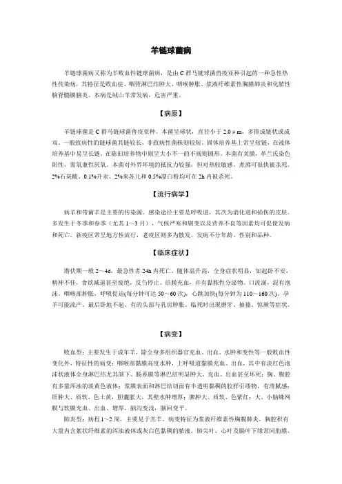 羊链球菌病