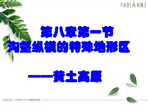 沟壑纵横的特殊地形图区——黄土高原