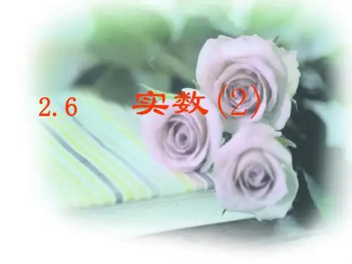 2.1 课件 数怎么又不够用了(北师大版八年级上册)8