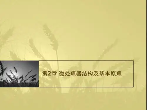 第2章 微处理器结构及基本原理