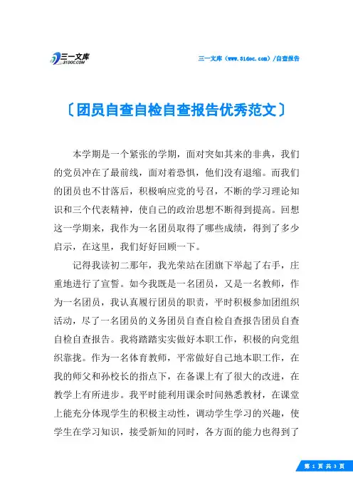 团员自查自检自查报告优秀范文