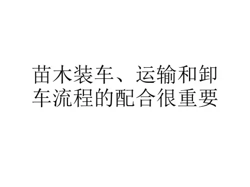 苗木装车、运输和卸车流程的配合很重要