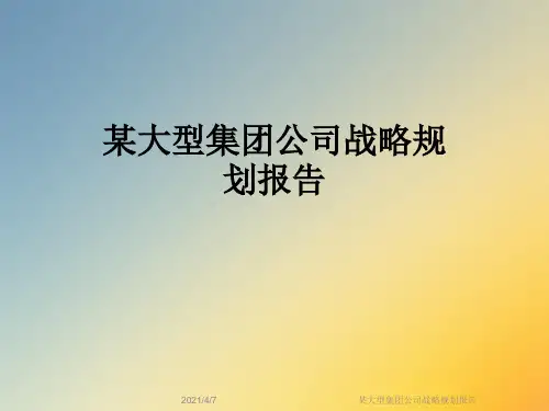 某大型集团公司战略规划报告