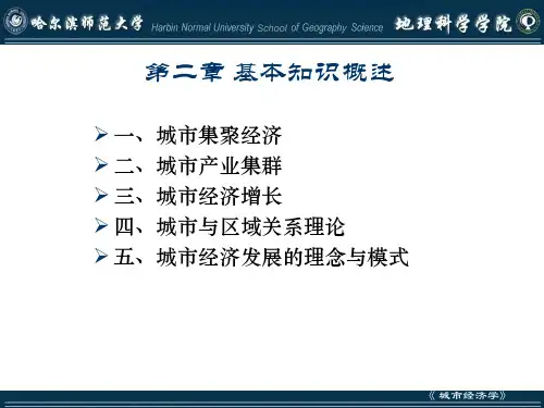 城市经济学基本知识概述