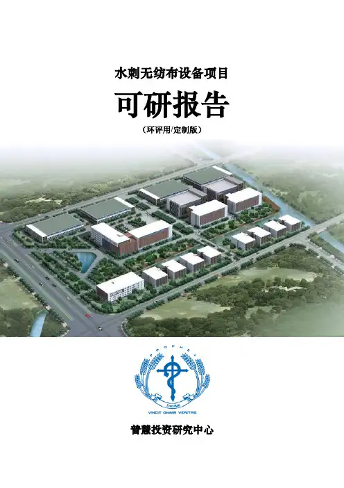 水刺无纺布设备项目可研报告环评用(定制版)