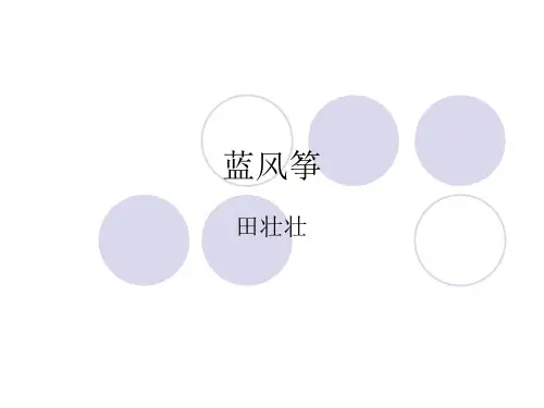 蓝风筝  影评