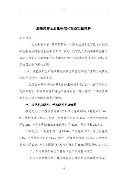 迎接安全质量标准化检查汇报材料