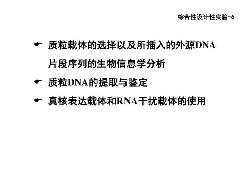 质粒DNA的提取和鉴定44页PPT