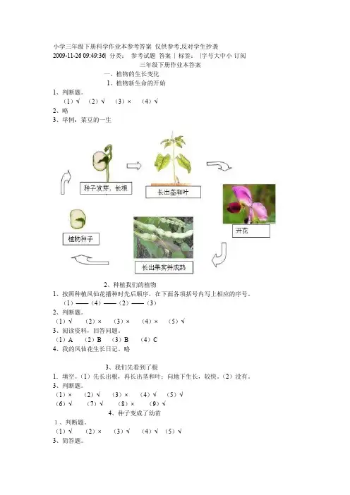 小学三年级下册科学作业本参考答案仅供参考