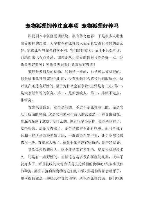 宠物狐狸饲养注意事项 宠物狐狸好养吗
