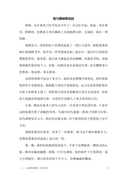 我与那树再见时_初三作文