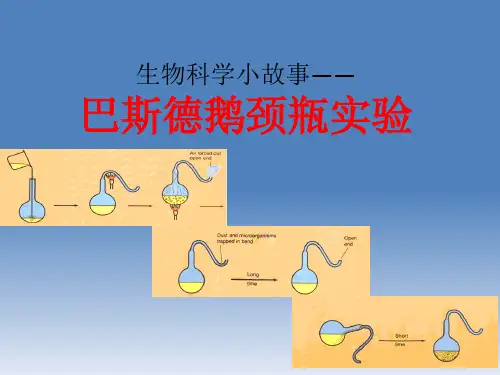 巴斯德及他的鹅颈瓶实验-童话版
