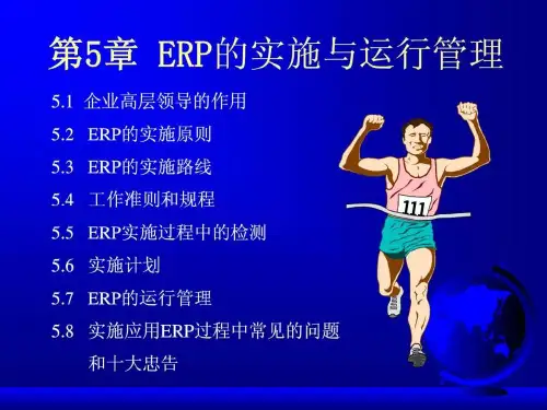 ERP实施的要点与计划