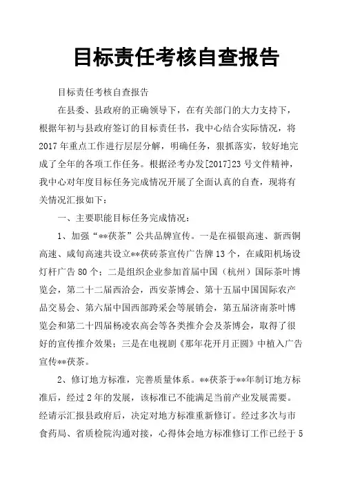目标责任考核自查报告