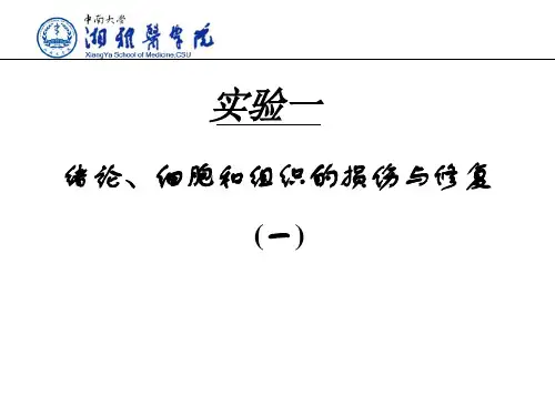 01-绪论、细胞组织的适应与损伤(一)